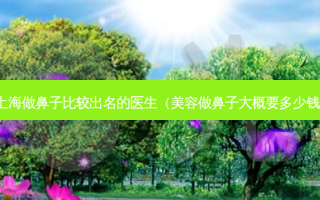 上海做鼻子比较出名的医生（美容做鼻子大概要多少钱）
