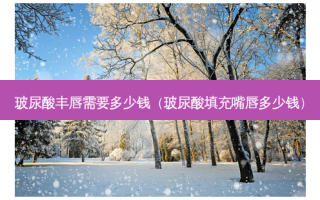 玻尿酸丰唇需要多少钱（玻尿酸填充嘴唇多少钱）