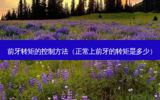 前牙转矩的控制 *** （正常上前牙的转矩是多少）