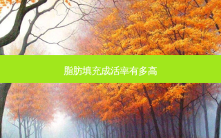脂肪填充成活率有多高
