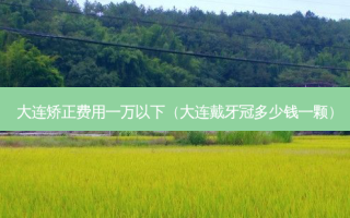 大连矫正费用一万以下（大连戴牙冠多少钱一颗）