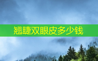 翘睫双眼皮多少钱