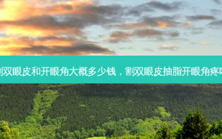 割双眼皮和开眼角大概多少钱，割双眼皮抽脂开眼角疼吗