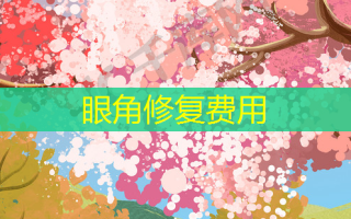 眼角修复费用