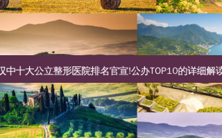 汉中十大公立整形医院排名官宣!公办TOP10的详细解读