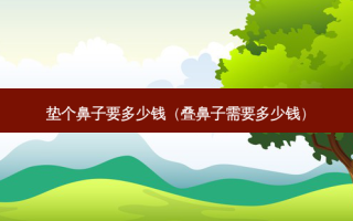 垫个鼻子要多少钱（叠鼻子需要多少钱）