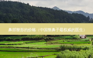 鼻部整形的价格（中国整鼻子 *** 的医生）