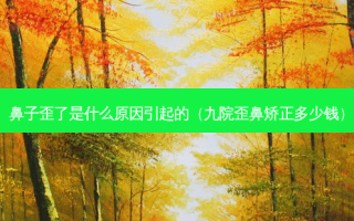 鼻子歪了是什么原因引起的（九院歪鼻矫正多少钱）