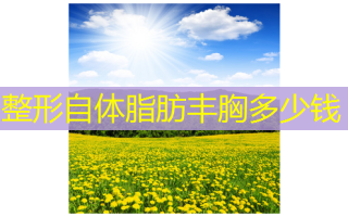 整形自体脂肪丰胸多少钱