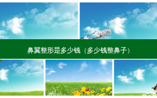 鼻翼整形是多少钱（多少钱整鼻子）