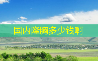 国内隆胸多少钱啊