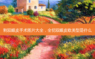 割双眼皮手术图片大全，全切双眼皮欧美型是什么