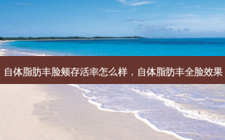 自体脂肪丰脸颊 *** 怎么样，自体脂肪丰全脸效果