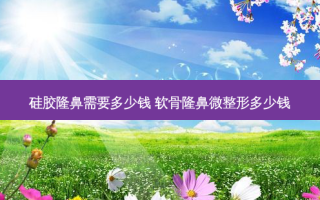 硅胶隆鼻需要多少钱 软骨隆鼻微整形多少钱