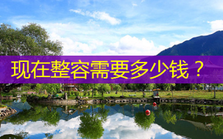 现在整容需要多少钱？
