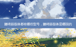 娜绮丽假体都有哪些型号，娜绮丽假体是哪国的