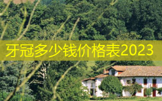 牙冠多少钱价格表2023