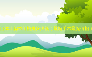 6自体丰胸术价格是多少钱（隆胸手术隆胸价格）