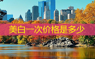 美白一次价格是多少