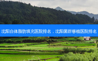 沈阳自体脂肪填充医院排名，沈阳菌群移植医院排名