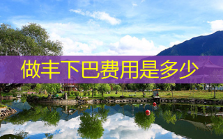 做丰下巴费用是多少