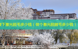 腋下激光脱毛多少钱（做个激光脱腋毛多少钱）