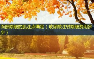 面部除皱的肌注点确定（玻尿酸注射除皱费用多少）