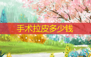 手术拉皮多少钱
