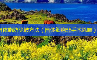 自体脂肪除皱 *** （自体细胞非手术除皱）