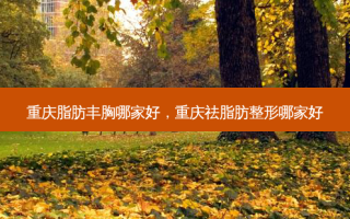 重庆脂肪丰胸哪家好，重庆祛脂肪整形哪家好