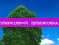 面部脂肪填充维持时间，面部脂肪填充维持多久