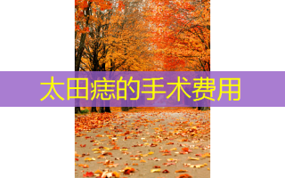 太田痣的手术费用