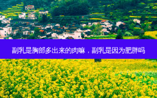 副乳是胸部多出来的肉嘛，副乳是因为肥胖吗