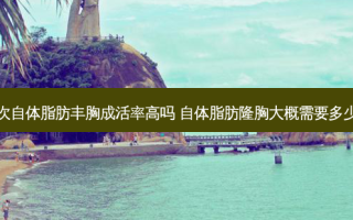 二次自体脂肪丰胸成活率高吗 自体脂肪隆胸大概需要多少钱