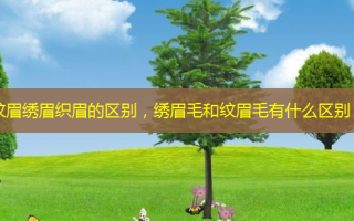 纹眉绣眉织眉的区别，绣眉毛和纹眉毛有什么区别