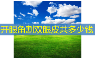 开眼角割双眼皮共多少钱