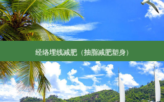 经络埋线减肥（抽脂减肥塑身）