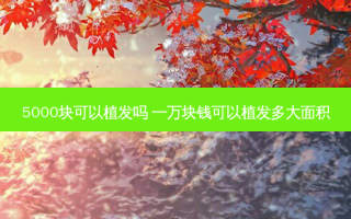5000块可以植发吗 一万块钱可以植发多大面积