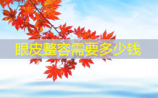 眼皮整容需要多少钱