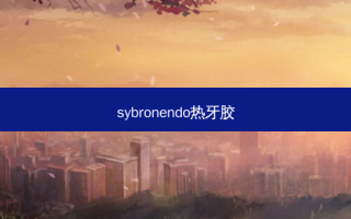 sybronendo热牙胶