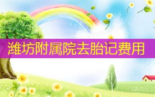 潍坊附属院去胎记费用