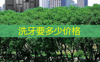 洗牙要多少价格