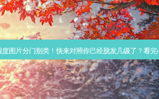 脱发1-7级程度图片分门别类！快来对照你已经脱发几级了？看完心中有数了~