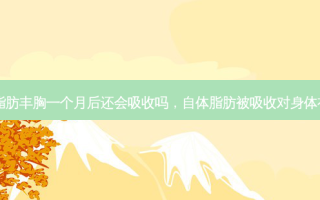 自体脂肪丰胸一个月后还会吸收吗，自体脂肪被吸收对身体有害吗