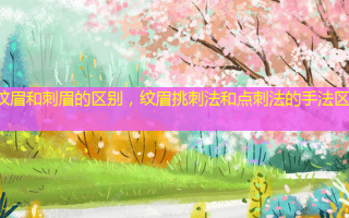 纹眉和刺眉的区别，纹眉挑刺法和点刺法的手法区别