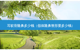 耳软骨隆鼻多少钱（假体隆鼻整形要多少钱）