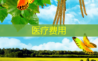 医疗费用