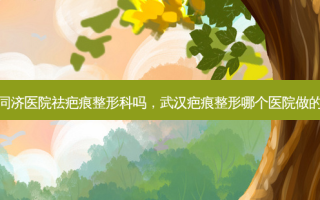 武汉同济医院祛疤痕整形科吗，武汉疤痕整形哪个医院做的 *** 