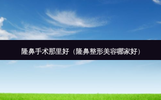 隆鼻手术那里好（隆鼻整形美容哪家好）