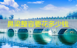 鼻梁整容要花多少钱